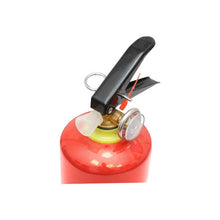 Încarcă imaginea în vizualizatorul Galerie, Stingator auto reincarcabil 1kg P1 cu manometru
