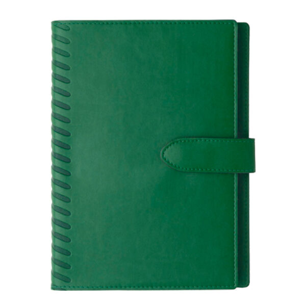 Agenda de lux 2026, datata zilnic, Cometa Verde, 17 x 24 cm
