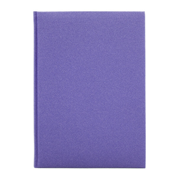 Agenda 449 Delhi Viola, nedatata 17 x 24 cm